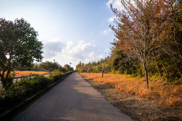 Seaside hiking trail at Sakurajima in Kagoshima Prefecture, Japan