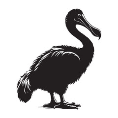 brown pelican isolated on white