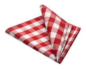 red and white checkered folded napkin
