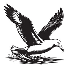 vector illustration of a eagle