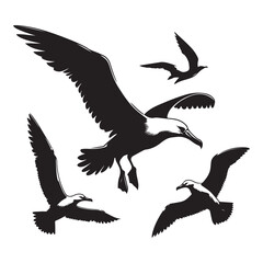 silhouettes of birds