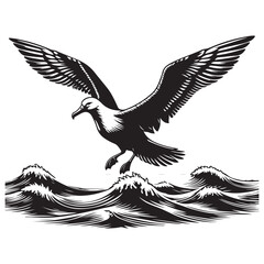 eagle vector illustration