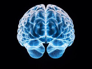Glowing Blue Human Brain Digital Rendering On Black Background