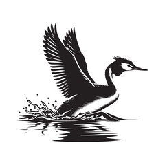 duck in flight