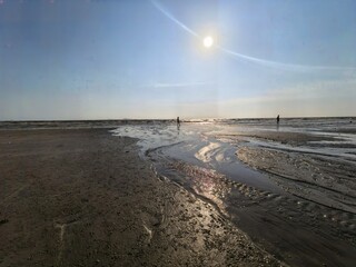 Expansive muddy beach at low tide with sun high in sky