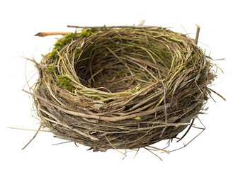 Obraz premium natural-bird-nest-- isolated on white background png, generated