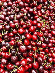 Close-up of a pile of red cherries with stalks. Ripe cherries in the background.