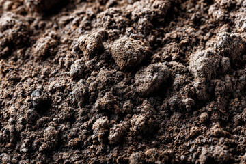 Dirt Soil Background From Nature