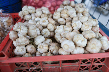 Garlics in the market