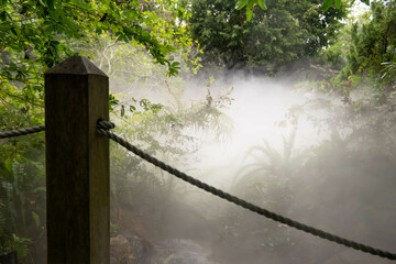 
A misty garden scene with a wooden post and rope barrier, surrounded by lush green trees and dense...