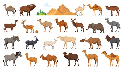 Desert Animals Camels with Antelope, and Wildlife.