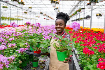 A smiling Black woman in a greenhouse, holding potted flowers, surrounded by vibrant blooms of...