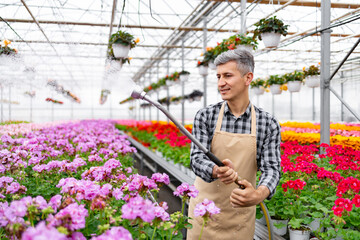 A greenhouse worker waters colorful flowers with a hose, creating a beautiful and vibrant display.
