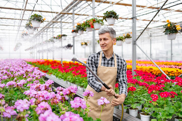 A gardener waters vibrant flowers in a greenhouse, cultivating a lush and colorful floral display.