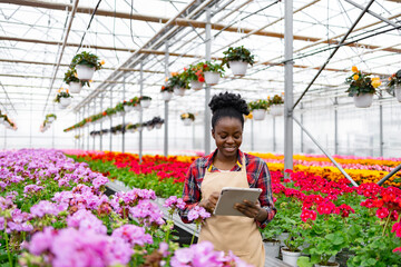 An African American woman smiles while using a tablet in a colorful flower greenhouse, surrounded by blooming plants.