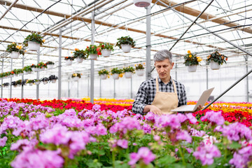 A gardener in a greenhouse surrounded by vibrant flowers uses a laptop to manage the plants.