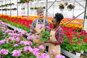 Two people examine a potted plant in a vibrant greenhouse, surrounded by colorful flowers.