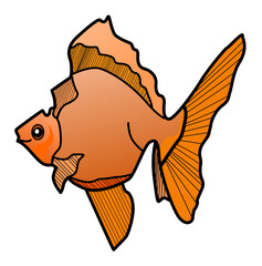 This is an illustration of a koi fish