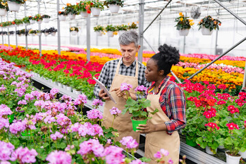 Two botanists in a greenhouse examining a flowering plant together, using a tablet for reference.