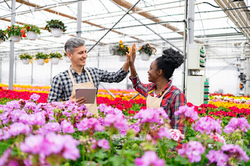 Two diverse greenhouse workers celebrate with a high-five gesture amidst vibrant blooming flowers.