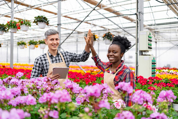 Two diverse greenhouse workers celebrate a successful day with a high-five amidst blooming flowers.