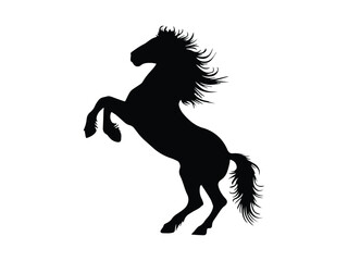 Silhouette design of a beautiful black horse