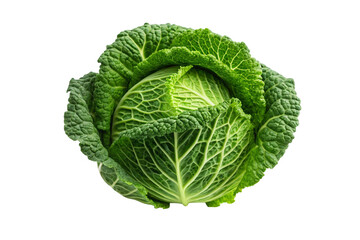 Fresh green savoy cabbage isolated on transparent background