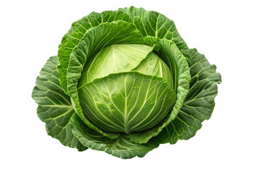 Obraz premium Fresh green cabbage isolated on transparent background