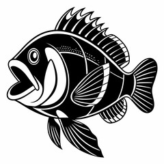 fish vector illustration