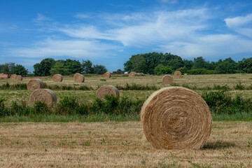 paysage rural avec rouleaux de paille, sur fond de ciel bleu