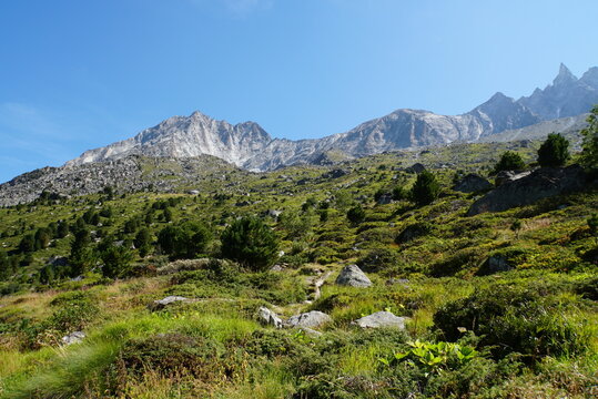  Swiss Alps view from the trail - Switzerland	