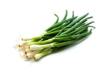 leaf spring onion isolated on white background ,Green leaves pattern