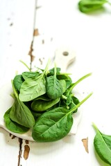 Spinach baby leaves on a white wooden background. copy space