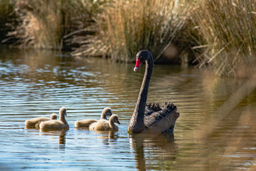 Sparks Road Wetlands 2025