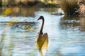 Sparks Road Wetlands 2025