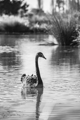 Sparks Road Wetlands 2025