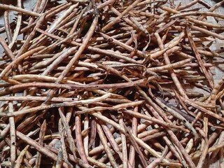 Dry Bean Pods on Traditional Bamboo Mat