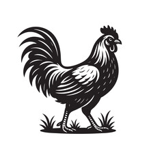 Traditional Thai native rooster standing proudly on grass, detailed feathers and bold posture in vintage black and white vector style.