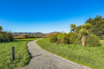 Sparks Road Wetlands 2025