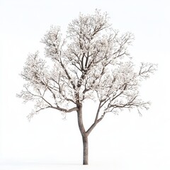 Snow-covered tree