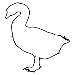 Duck Icon Line_2