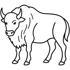 Bison Profile Clean Line Design