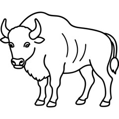 Bison Profile Clean Line Design
