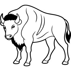 Bison Profile Clean Line Design