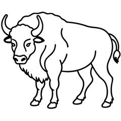 Bison Profile Clean Line Design