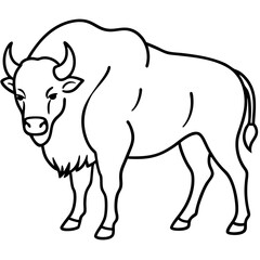 Bison Profile Clean Line Design