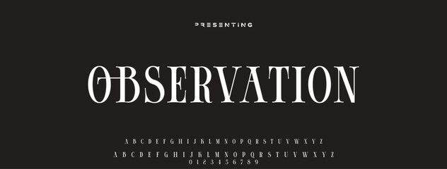 Luxury serif font in modern style. Elegant wedding alphabet letters font and number. Typography Luxury classic lettering serif fonts decorative vintage retro logo