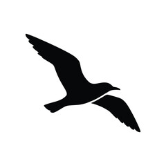 Flying Seagull Silhouette Illustration