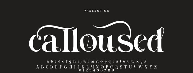 Luxury serif font in modern style. Elegant wedding alphabet letters font and number. Typography Luxury classic lettering serif fonts decorative vintage retro logo