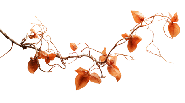 Delicate Brown Twig with Autumn Leaves - Powered by Adobe